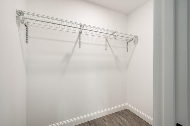 725 Central Ave Unit 103, Dover, NH 03820 - walk in closet featuring dark wood-style floors