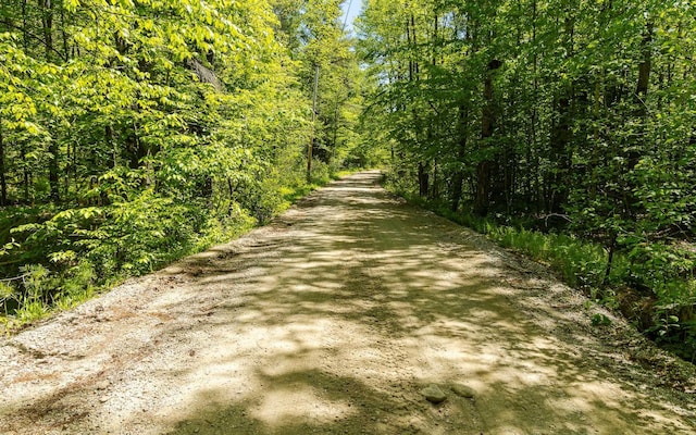 353 N St, Jaffrey, NH 03452 - view of road with a forest view