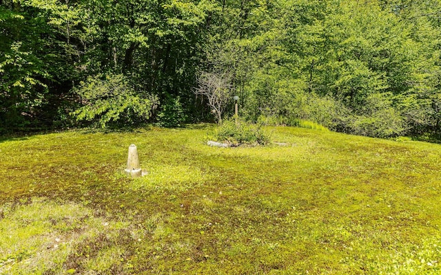 353 N St, Jaffrey, NH 03452 - view of yard