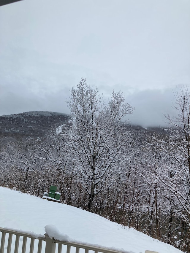 36 Lodge Rd Unit B105, Lincoln, NH 03251 - mountain view