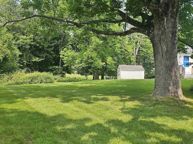 138 Sixth St, Dover, NH 03820 - view of green lawn