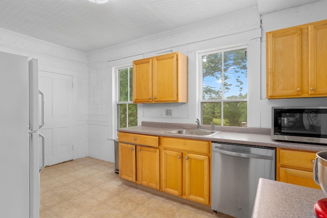 138 Sixth St, Dover, NH 03820 - kitchen featuring stainless steel appliances, a sink, healthy amount of natural light, and ornamental molding