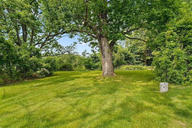 138 Sixth St, Dover, NH 03820 - view of green lawn
