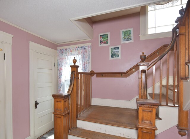 31 Tappan St, Farmington, NH 03835