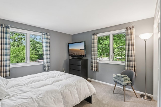 2 Warton Rd, Nashua, NH 03062 - bedroom with carpet flooring and baseboards