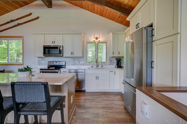 33 Karwendal Strasse, Bartlett, NH 03812 - kitchen featuring stainless steel appliances, a sink, wooden ceiling, plenty of natural light, and dark wood-style floors