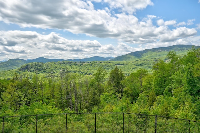 33 Karwendal Strasse, Bartlett, NH 03812 - view of mountain background with a heavily wooded area
