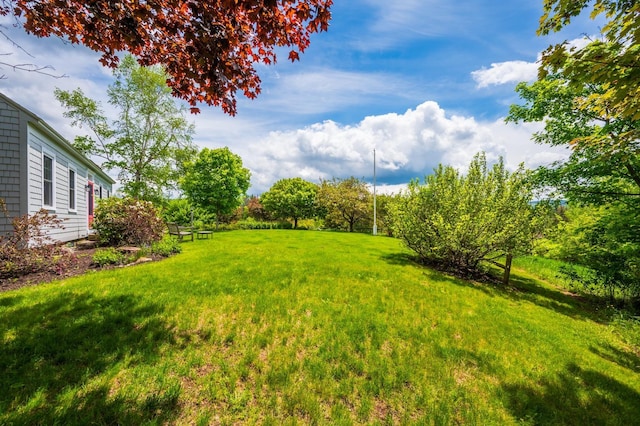 51 Carter Rd, New London, NH 03257 - view of green lawn