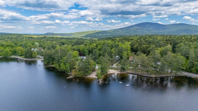 51 Carter Rd, New London, NH 03257 - view of property location with a forest and a water and mountain view