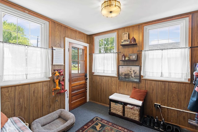 228 Platts Ave, Manchester, NH 03109 - doorway to outside featuring wood walls and carpet floors
