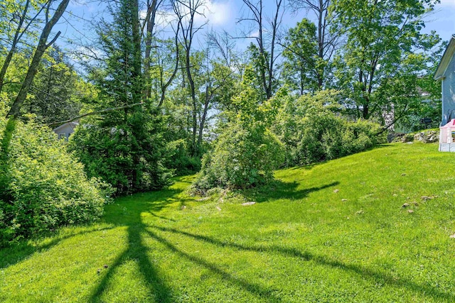 2124 Wakefield Rd, Wakefield, NH 03872 - view of grassy yard