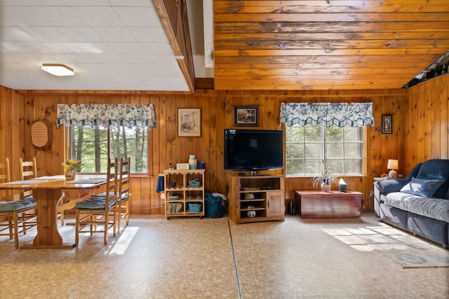 87 Lower Camp Rd, Northwood, NH 03261 - living room with wooden walls and plenty of natural light