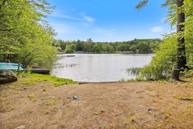 87 Lower Camp Rd, Northwood, NH 03261 - water view with a forest and a dock