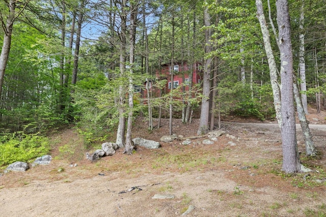 87 Lower Camp Rd, Northwood, NH 03261 - view of yard featuring a wooded view
