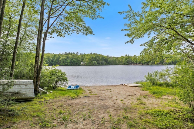 87 Lower Camp Rd, Northwood, NH 03261 - water view featuring a forest