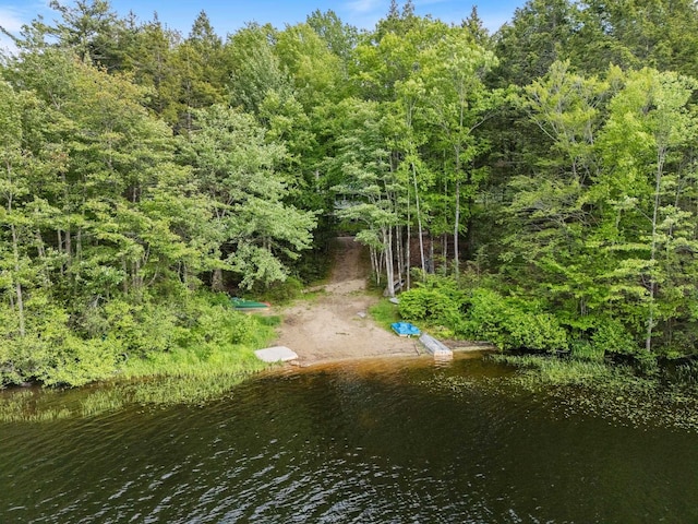 87 Lower Camp Rd, Northwood, NH 03261 - water view featuring a heavily wooded area