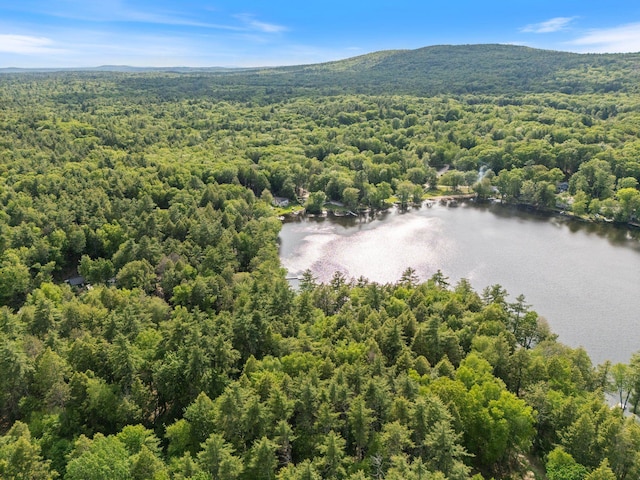 87 Lower Camp Rd, Northwood, NH 03261 - aerial view of a forest and a water and mountain view