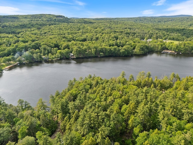 87 Lower Camp Rd, Northwood, NH 03261 - drone / aerial view of a forest and a nearby body of water