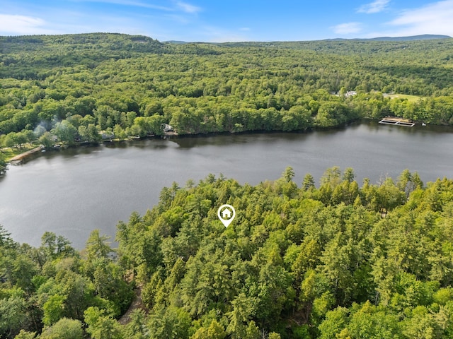 87 Lower Camp Rd, Northwood, NH 03261 - aerial view of a forest and a large body of water