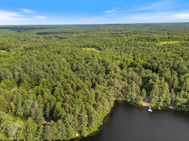 87 Lower Camp Rd, Northwood, NH 03261 - aerial view of property and surrounding area with a heavily wooded area and a large body of water