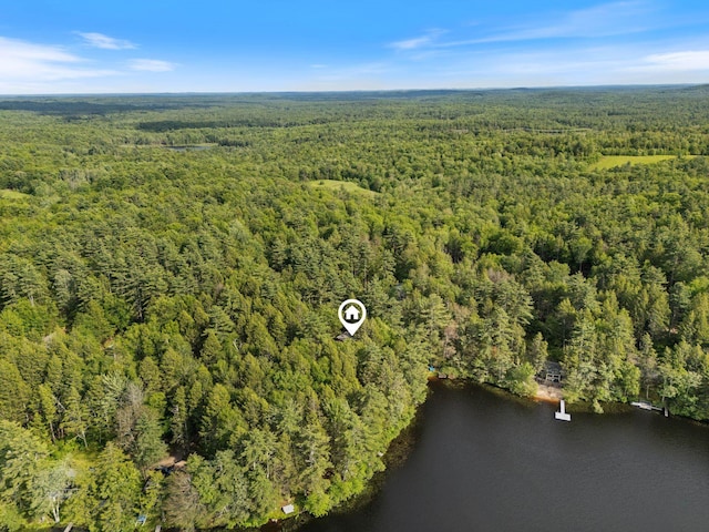 87 Lower Camp Rd, Northwood, NH 03261 - aerial view of property and surrounding area featuring a forest and a nearby body of water