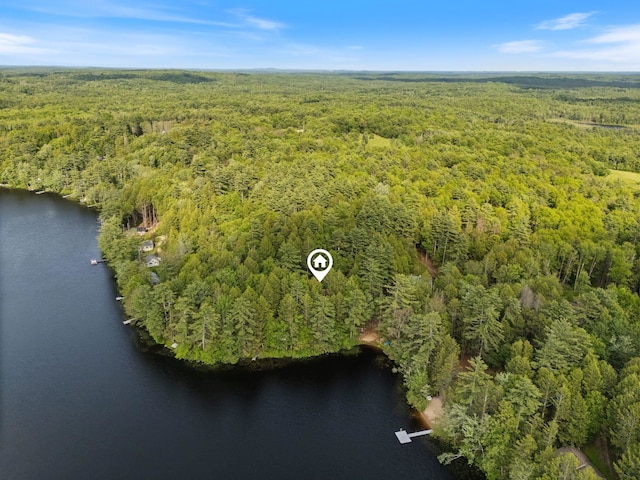 87 Lower Camp Rd, Northwood, NH 03261 - bird's eye view of a forest and a large body of water