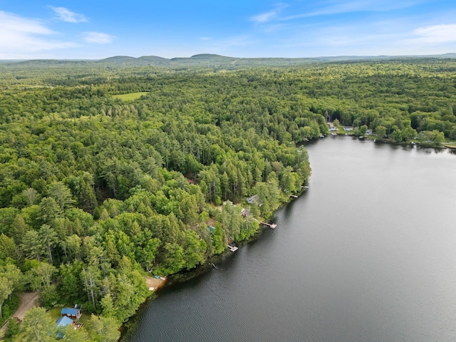 87 Lower Camp Rd, Northwood, NH 03261 - bird's eye view of a forest and a large body of water