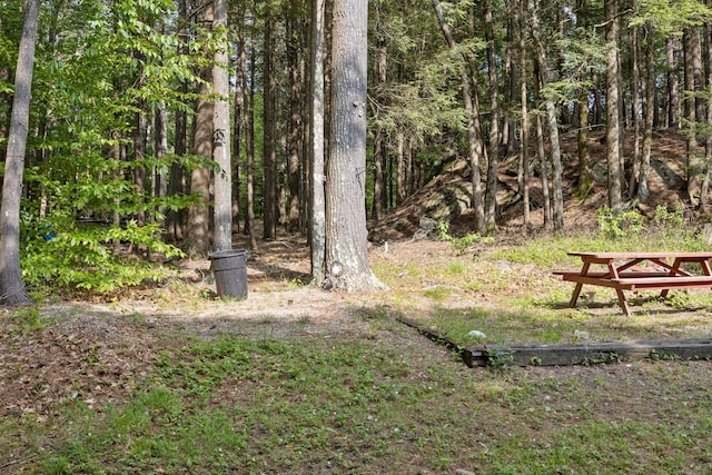 87 Lower Camp Rd, Northwood, NH 03261 - view of yard