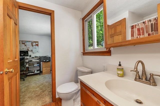 222 Main St, Alton, NH 03809 - bathroom featuring vanity, toilet, and a shower with shower curtain