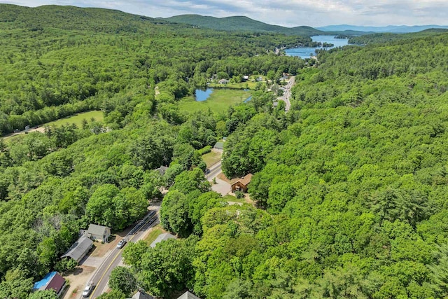 222 Main St, Alton, NH 03809 - view of property location with a forest and a water and mountain view