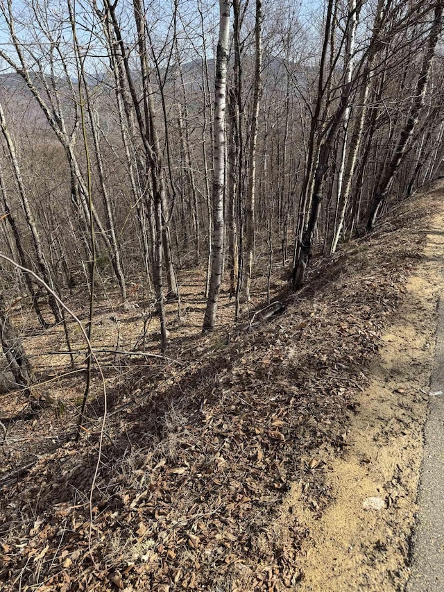 0 Summit Dr, Campton, NH 03223