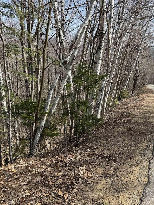 0 Summit Dr, Campton, NH 03223