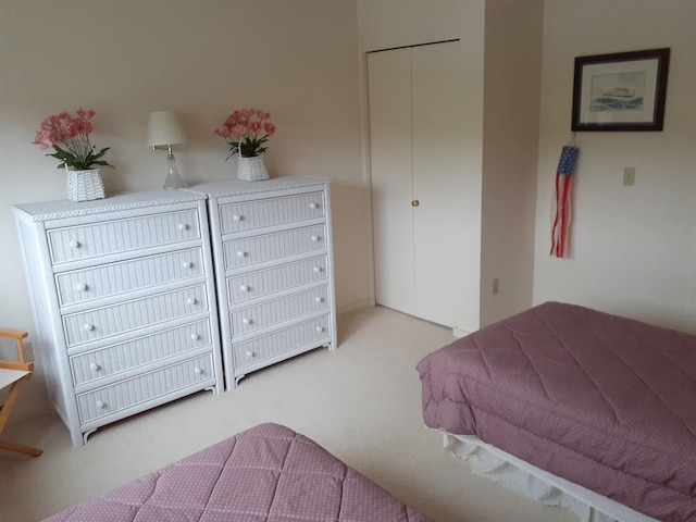 11 Portside Dr Unit 5, Moultonborough, NH 03254 - view of carpeted bedroom