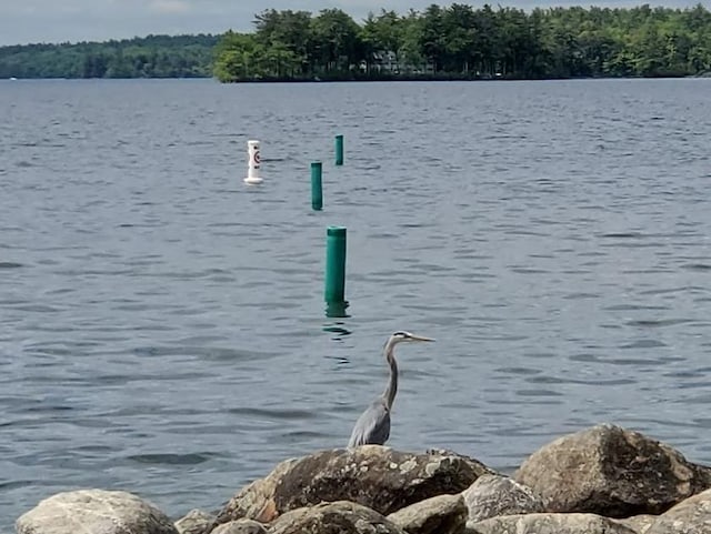 11 Portside Dr Unit 5, Moultonborough, NH 03254 - dock with a water view