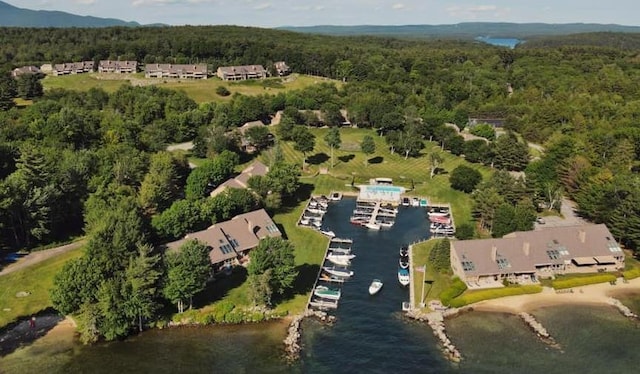 11 Portside Dr Unit 5, Moultonborough, NH 03254 - aerial overview of property's location featuring a forest and a nearby body of water
