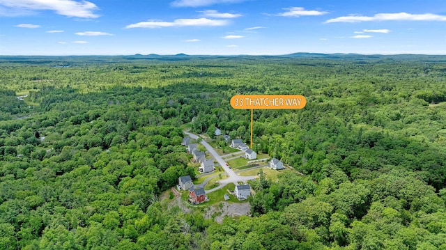 33 Thatcher Way, Barrington, NH 03825 - aerial view of a forest
