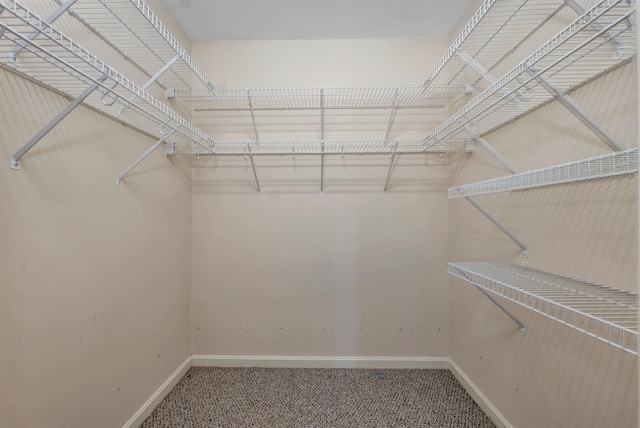 10 Vappi Vale Ln, Moultonborough, NH 03254 - spacious closet featuring carpet flooring