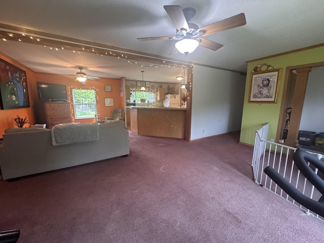 182 Franks Way, Middlesex, VT 05602 - carpeted living area with a ceiling fan