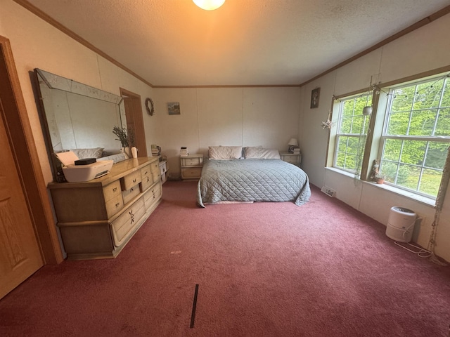 182 Franks Way, Middlesex, VT 05602 - bedroom with ornamental molding, carpet flooring, and a textured ceiling