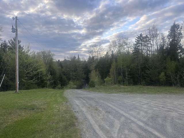 182 Franks Way, Middlesex, VT 05602 - view of street with a forest view