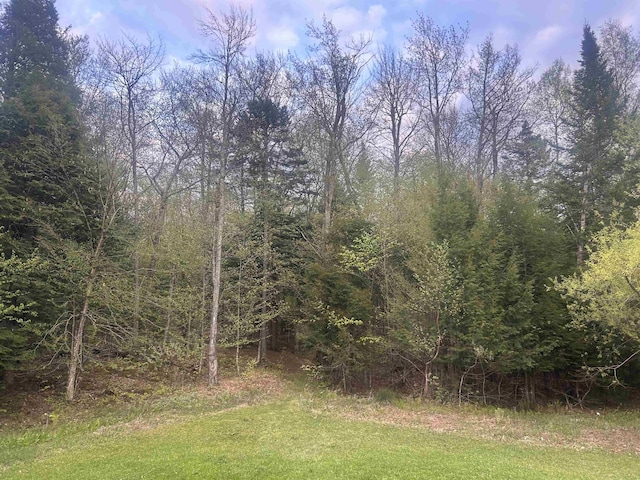 182 Franks Way, Middlesex, VT 05602 - view of yard featuring a wooded view