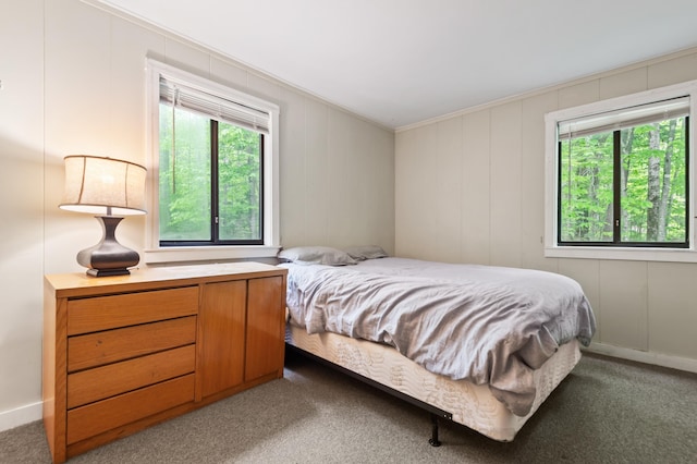 5 Adams Rd, Jackson, NH 03846 - bedroom with carpet and ornamental molding