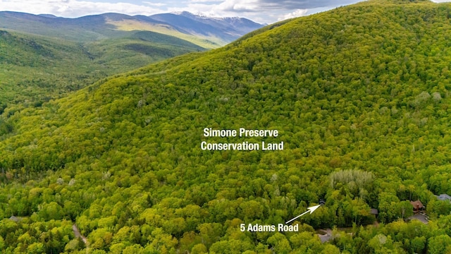 5 Adams Rd, Jackson, NH 03846 - view of mountain backdrop with a heavily wooded area
