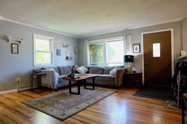 24 Abbott Rd, Concord, NH 03303 - living room featuring crown molding, healthy amount of natural light, baseboard heating, and wood-type flooring