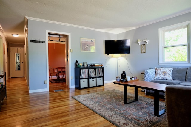 24 Abbott Rd, Concord, NH 03303 - living area featuring crown molding, light wood-style flooring, a textured ceiling, and baseboards