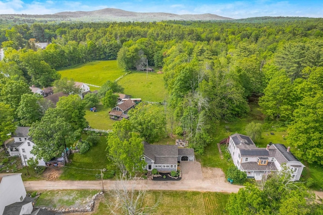 9 Grove Rd, Lyndeborough, NH 03082 - drone / aerial view of a forest and a mountainous background