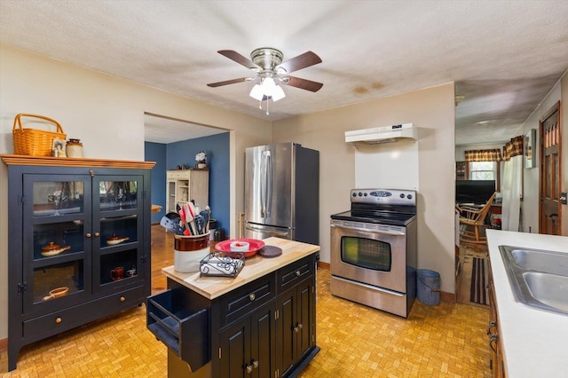 780 Greenfield Rd, Peterborough, NH 03458 - kitchen featuring appliances with stainless steel finishes, under cabinet range hood, dark cabinetry, a ceiling fan, and a sink