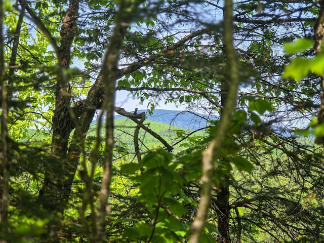 150 Spur Rd, Bloomfield, VT 05905