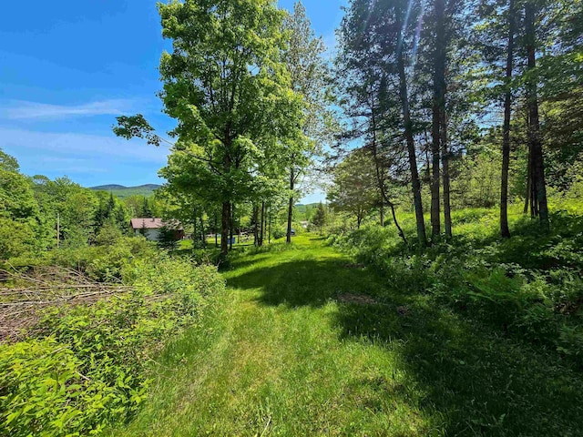 150 Spur Rd, Bloomfield, VT 05905