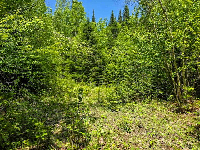 150 Spur Rd, Bloomfield, VT 05905